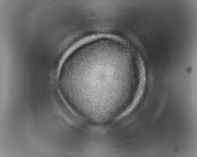 X0000112890161200909181920