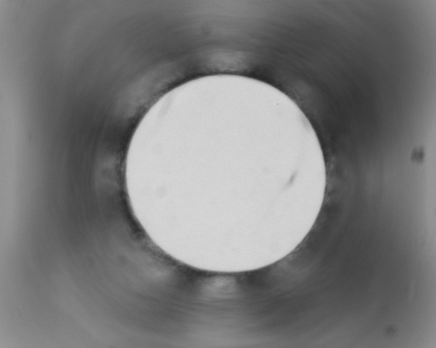 X0000112890162200909181920