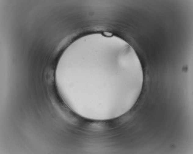 X0000112890164200909181920