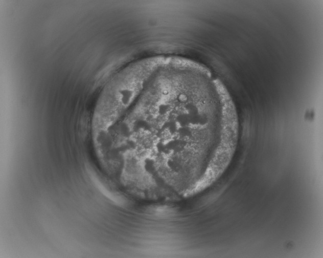 X0000112890165200909181920