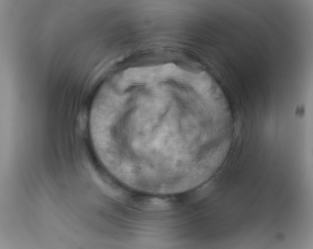 X0000112890166200909181920
