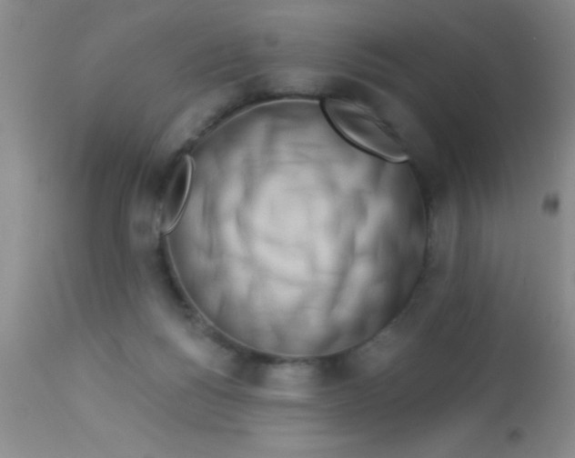X0000112890168200909181920