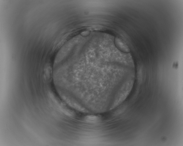 X0000112890169200909181920