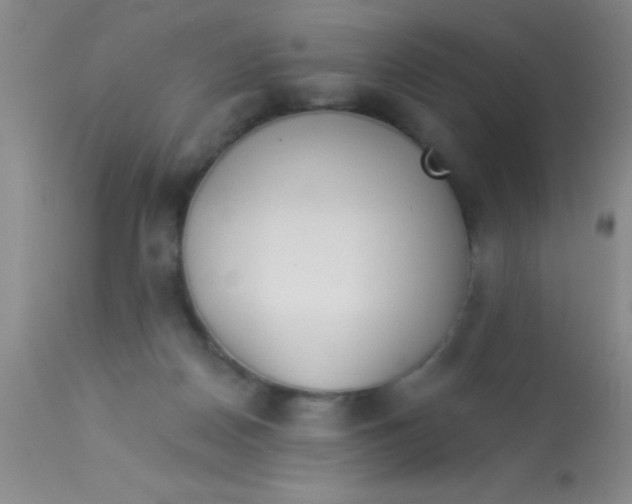 X0000112890170200909181920