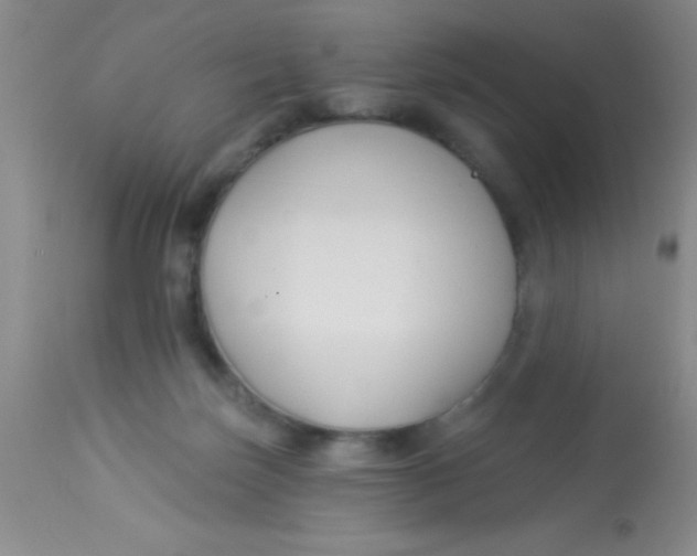 X0000112890171200909181920