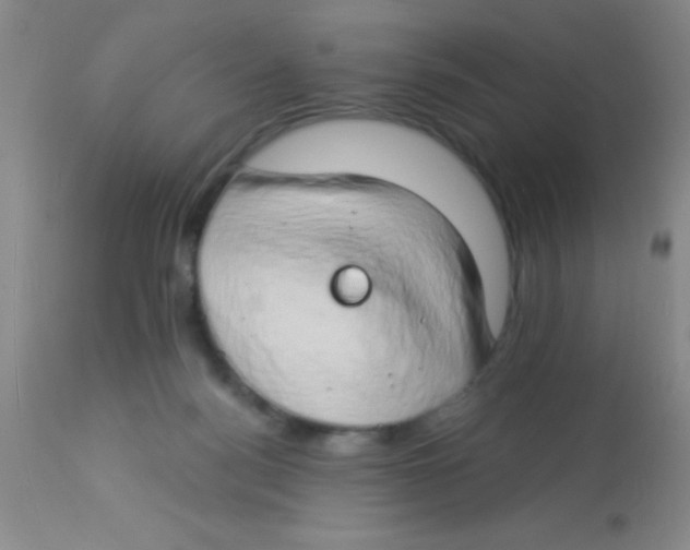 X0000112890172200909181920