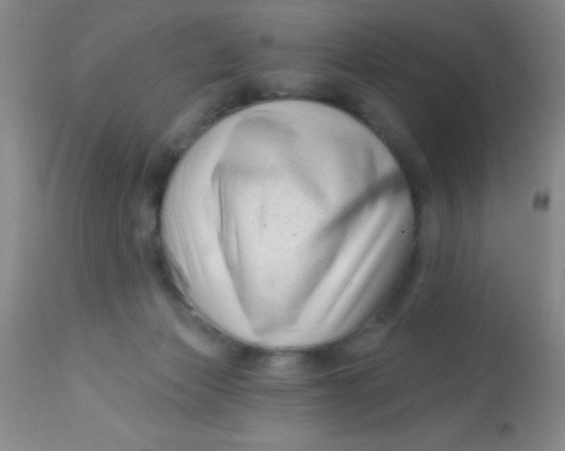 X0000112890173200909181920