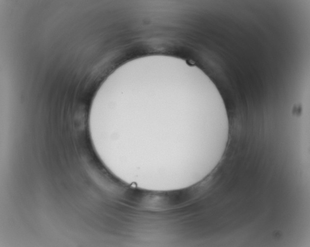 X0000112890174200909181920