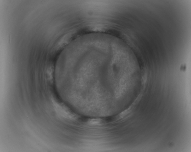 X0000112890175200909181920