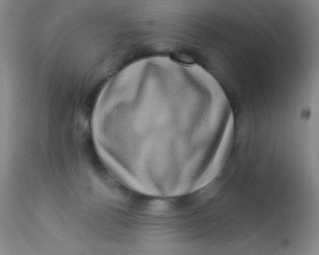 X0000112890176200909181920