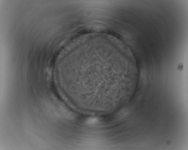 X0000112890177200909181920