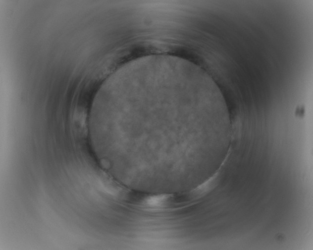 X0000112890178200909181920