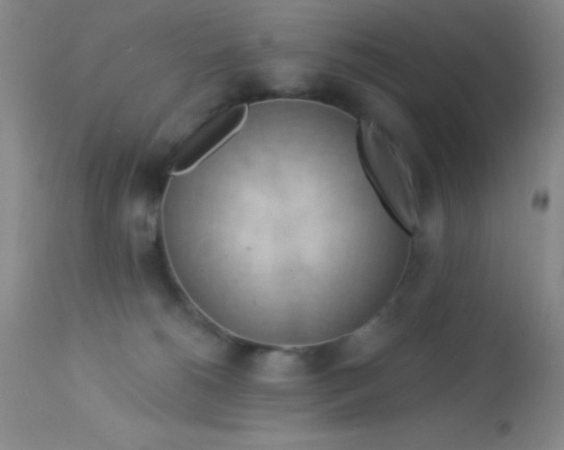 X0000112890180200909181920