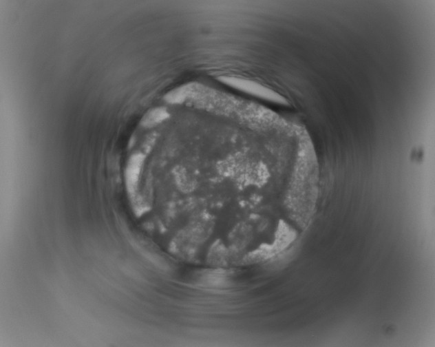 X0000112890182200909181920