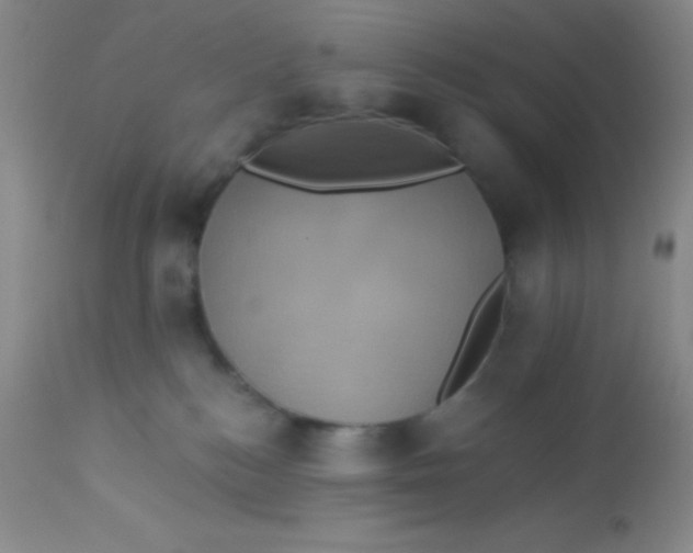 X0000112890184200909181920