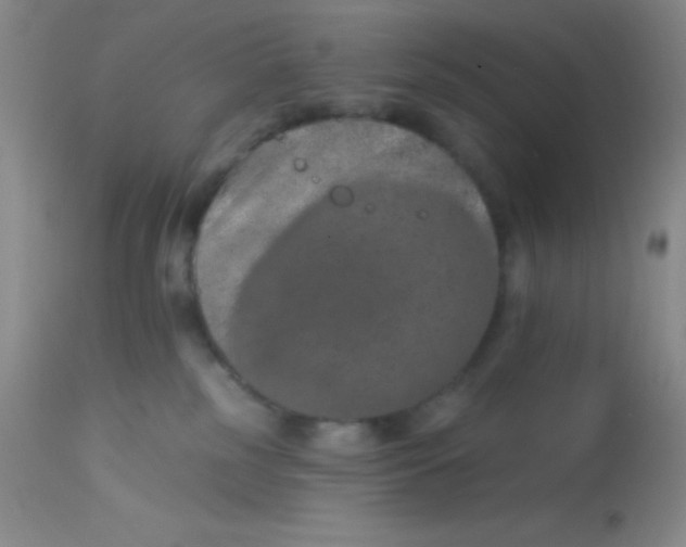 X0000112890185200909181920
