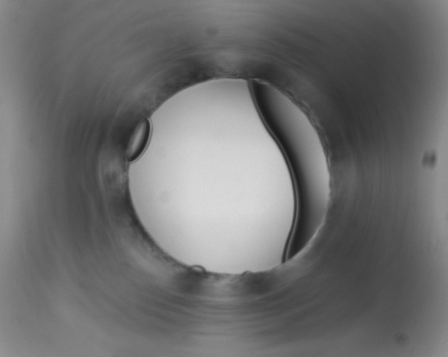 X0000112890186200909181920
