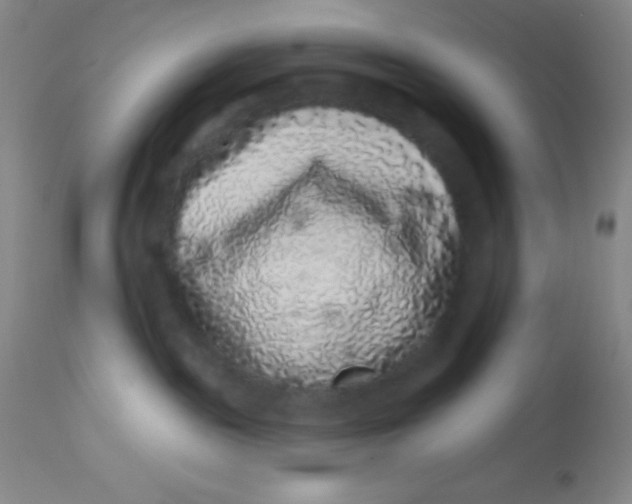 X0000112890189200909181920