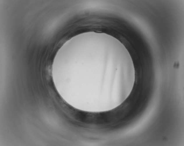 X0000112890190200909181920