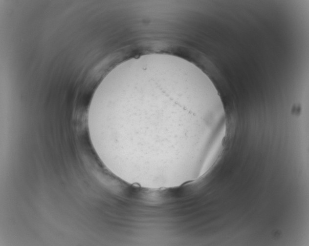 X0000112890191200909181920