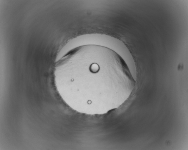 X0000112890192200909181920