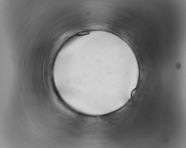 X0000112890193200909181920