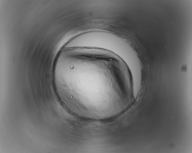 X0000112890195200909181920
