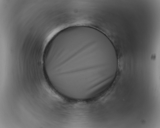 X0000112890196200909181920