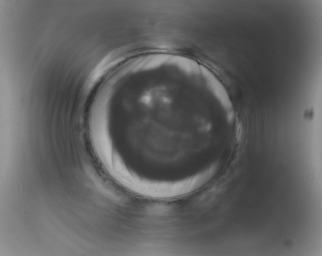 X0000112890198200909181919