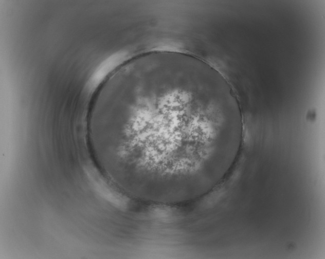 X0000112890199200909181919