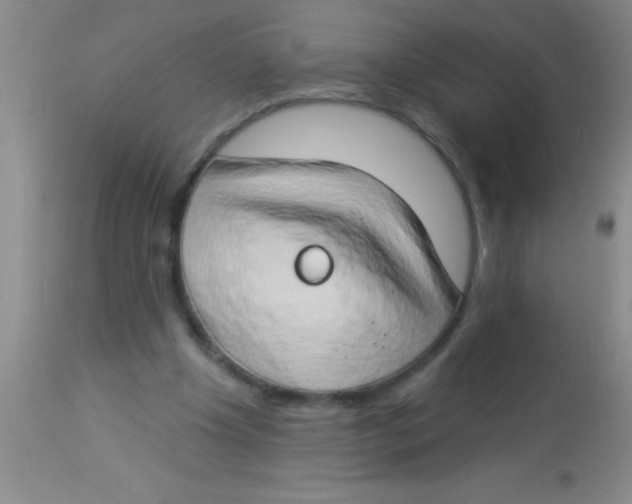 X0000112890201200909181919