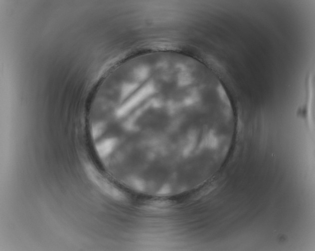 X0000112890202200909181919