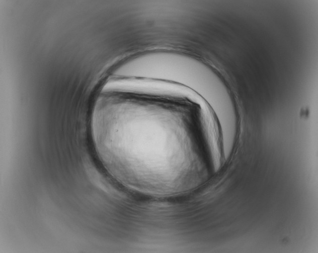 X0000112890203200909181919