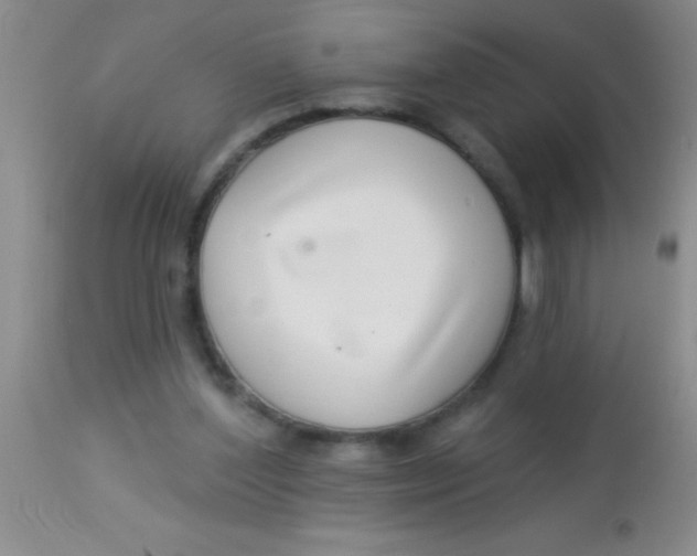 X0000112890204200909181919