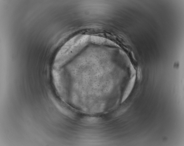 X0000112890205200909181919