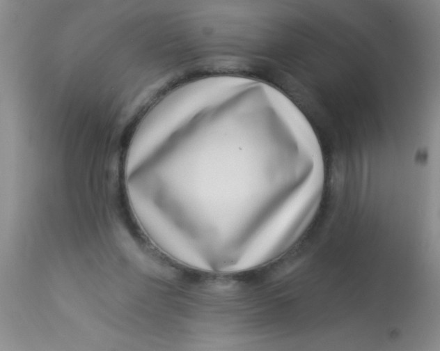 X0000112890206200909181919