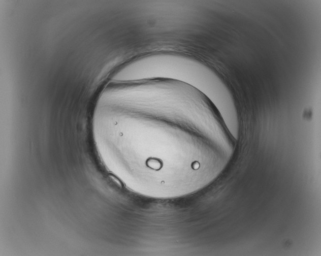 X0000112890207200909181919