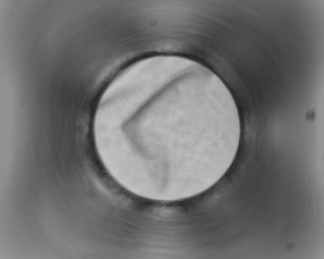 X0000112890208200909181919