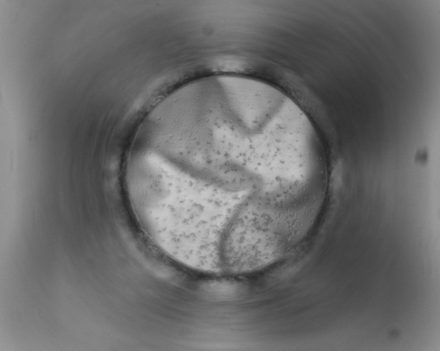 X0000112890209200909181919