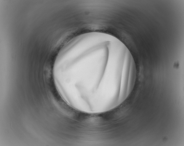 X0000112890210200909181919