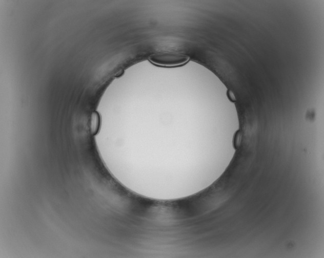 X0000112890211200909181919