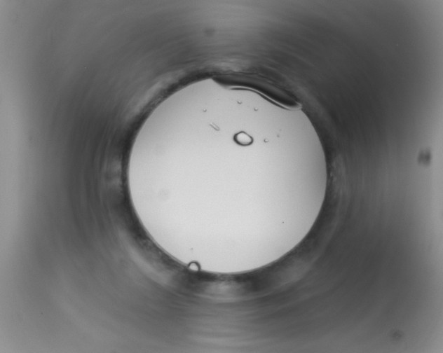 X0000112890212200909181919