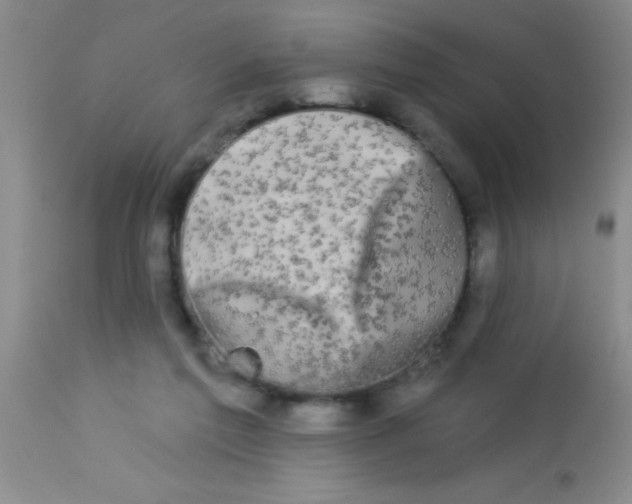 X0000112890213200909181919