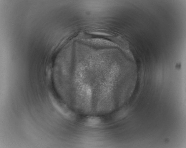 X0000112890214200909181919