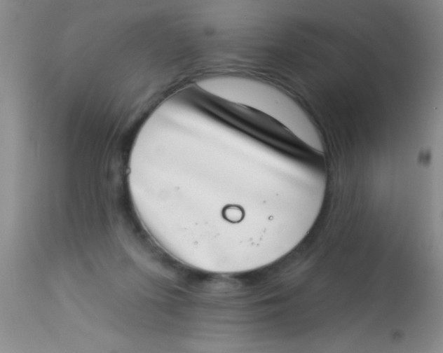 X0000112890215200909181919