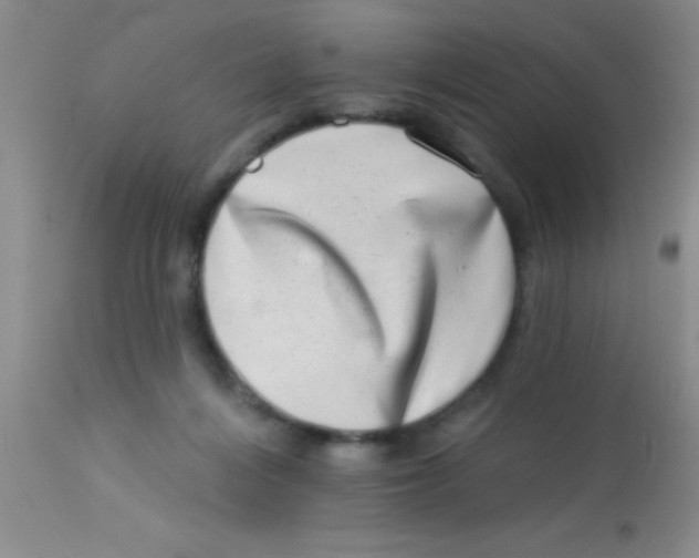 X0000112890216200909181919