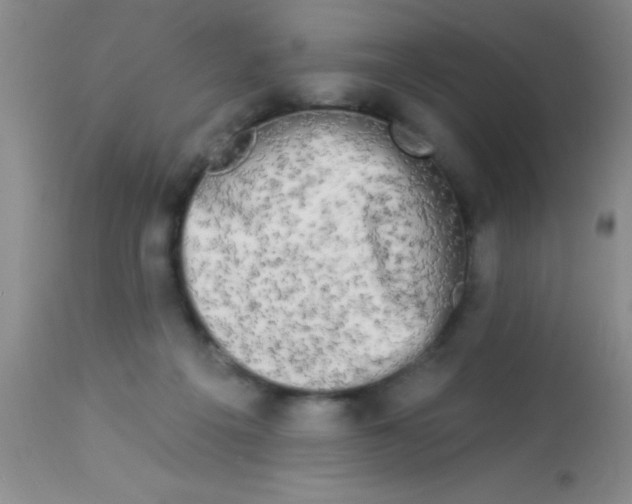 X0000112890217200909181919