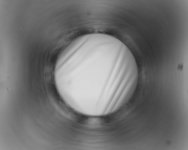X0000112890218200909181919