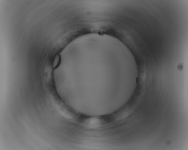 X0000112890219200909181919