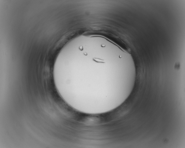 X0000112890220200909181919